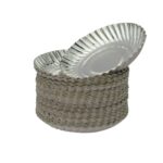 premium silver disposable paper plates